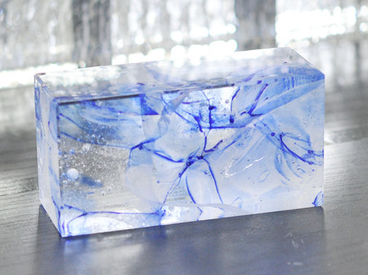 فندق Clear Float Handrail Pavement 6x8 Glass Block
